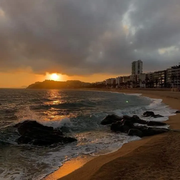 Primera Linea Borodin Ab 4º8ª Lloret de Mar Spain
